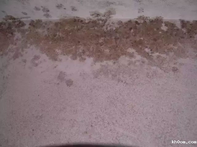 腻子粉的9大常见问题及解决办法